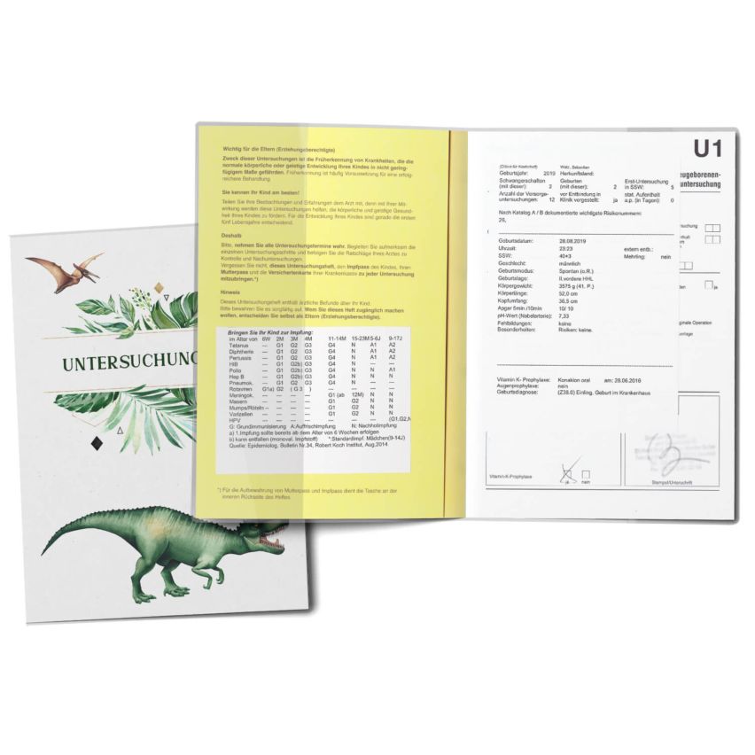 U-Heft- und Impfpasshülle Dinosaurier