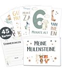 Baby Meilensteinkarten Lino