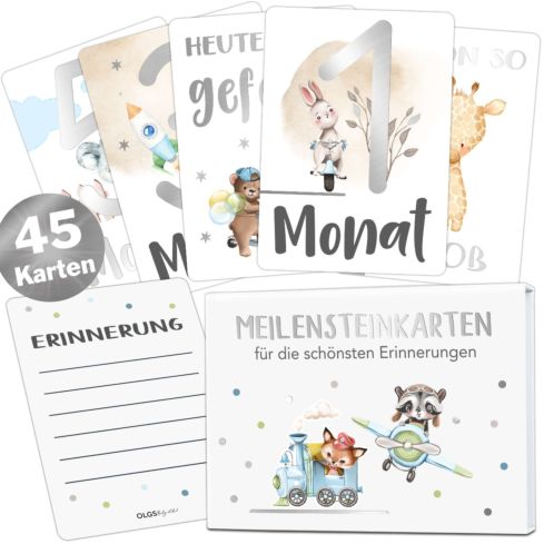 Baby Meilensteinkarten mit Silber (Junge)
