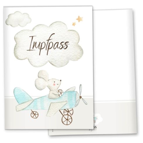 Impfpasshülle Flugzeug