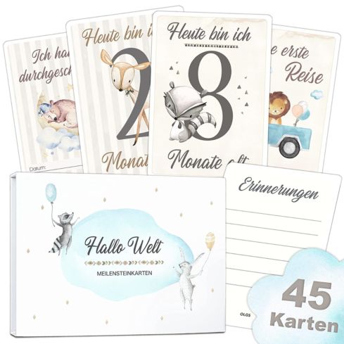 Baby Meilensteinkarten (Junge)