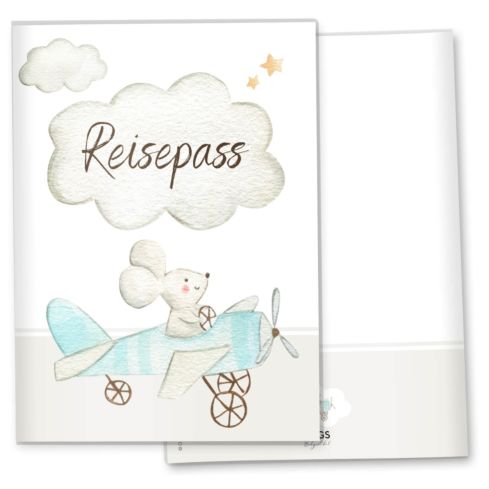 Reisepasshülle Flugzeug