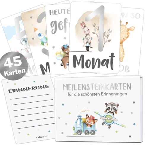 Baby Meilensteinkarten mit Silber (Junge)
