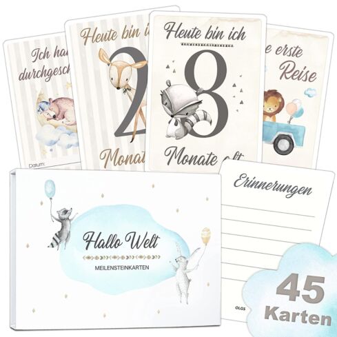 Baby Meilensteinkarten (Junge)